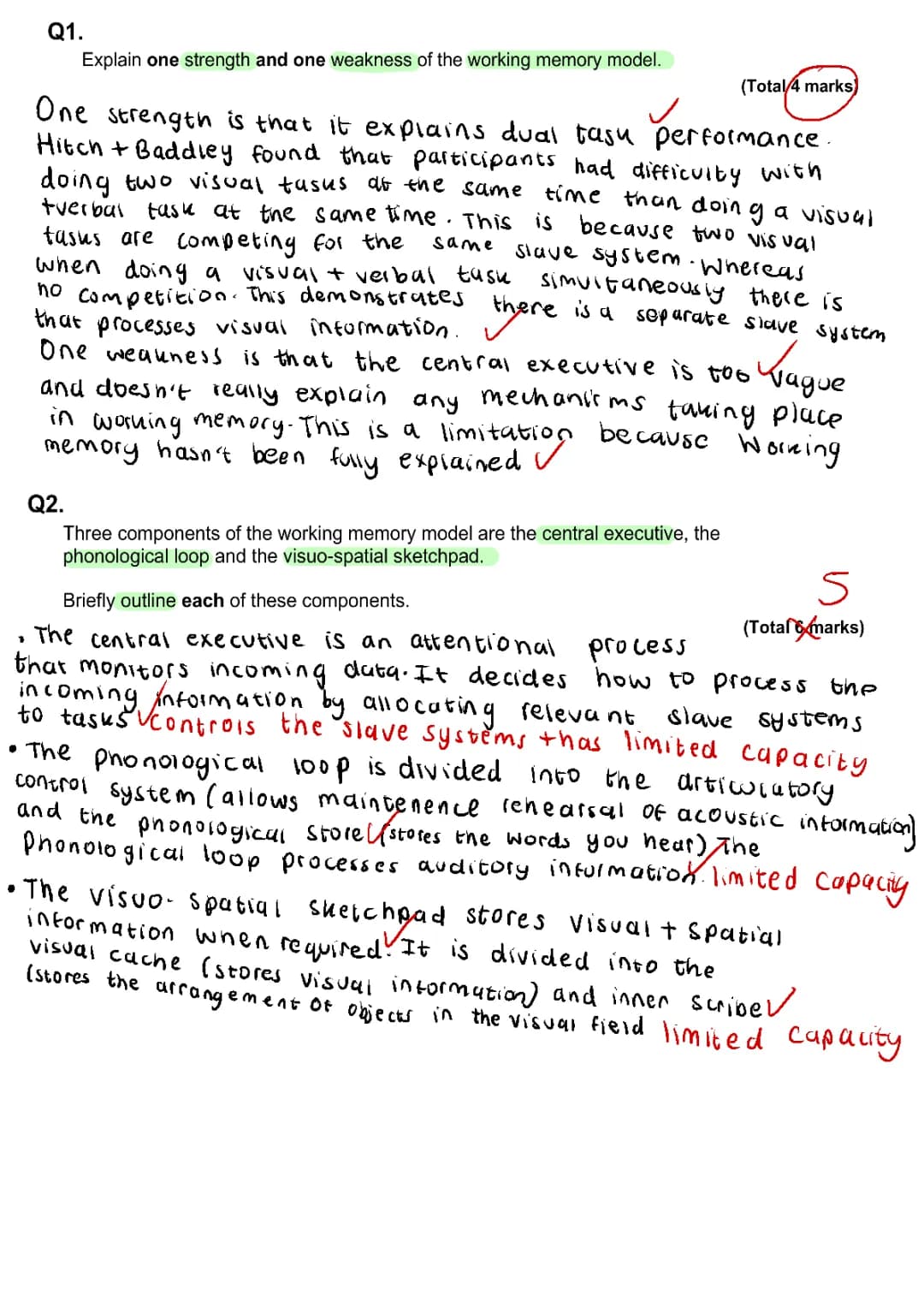 Working Memory Model: Strengths, Weaknesses, and Exam Questions