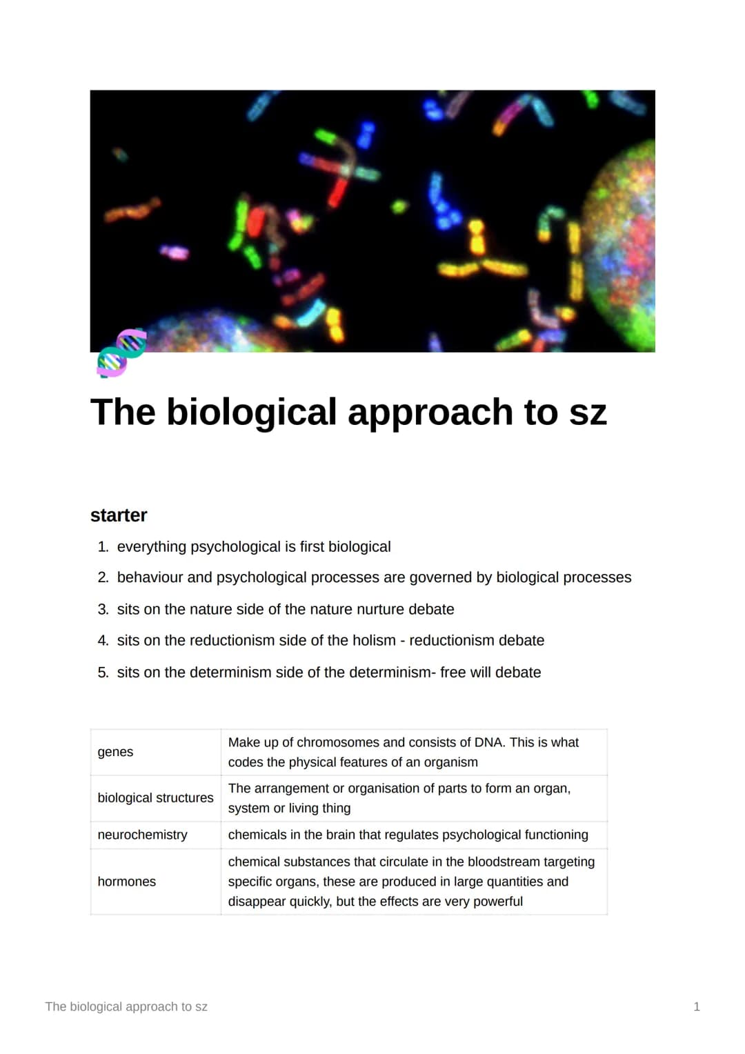 The biological approach to sz
starter
1. everything psychological is first biological
2. behaviour and psychological processes are governed 