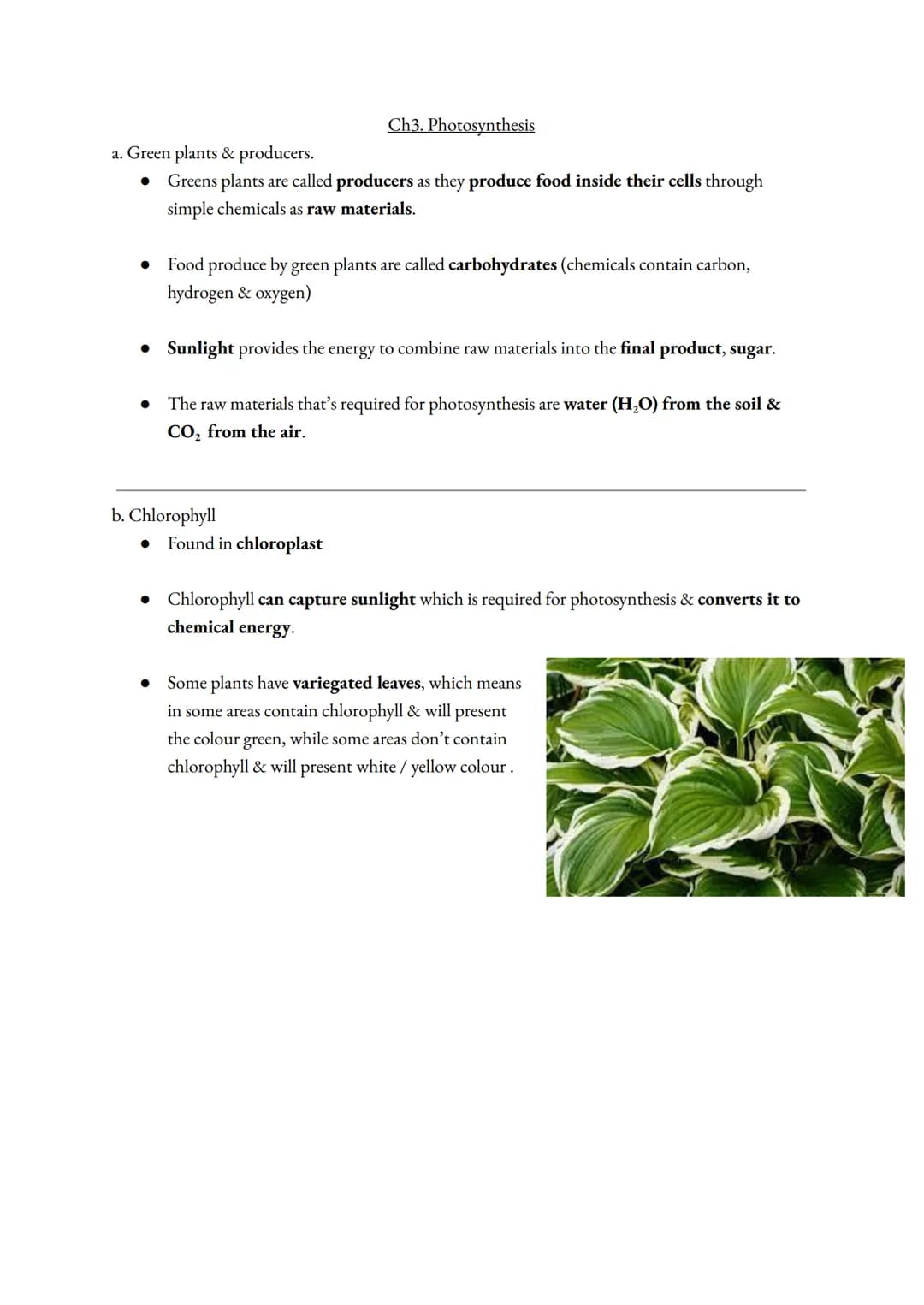 a. Ecological terms & definition (must learn !!!)
Term
Biodiversity
(Bio:diversity)
Producers
Consumers
Herbivores
(Herb:ivores)
Carnivores
