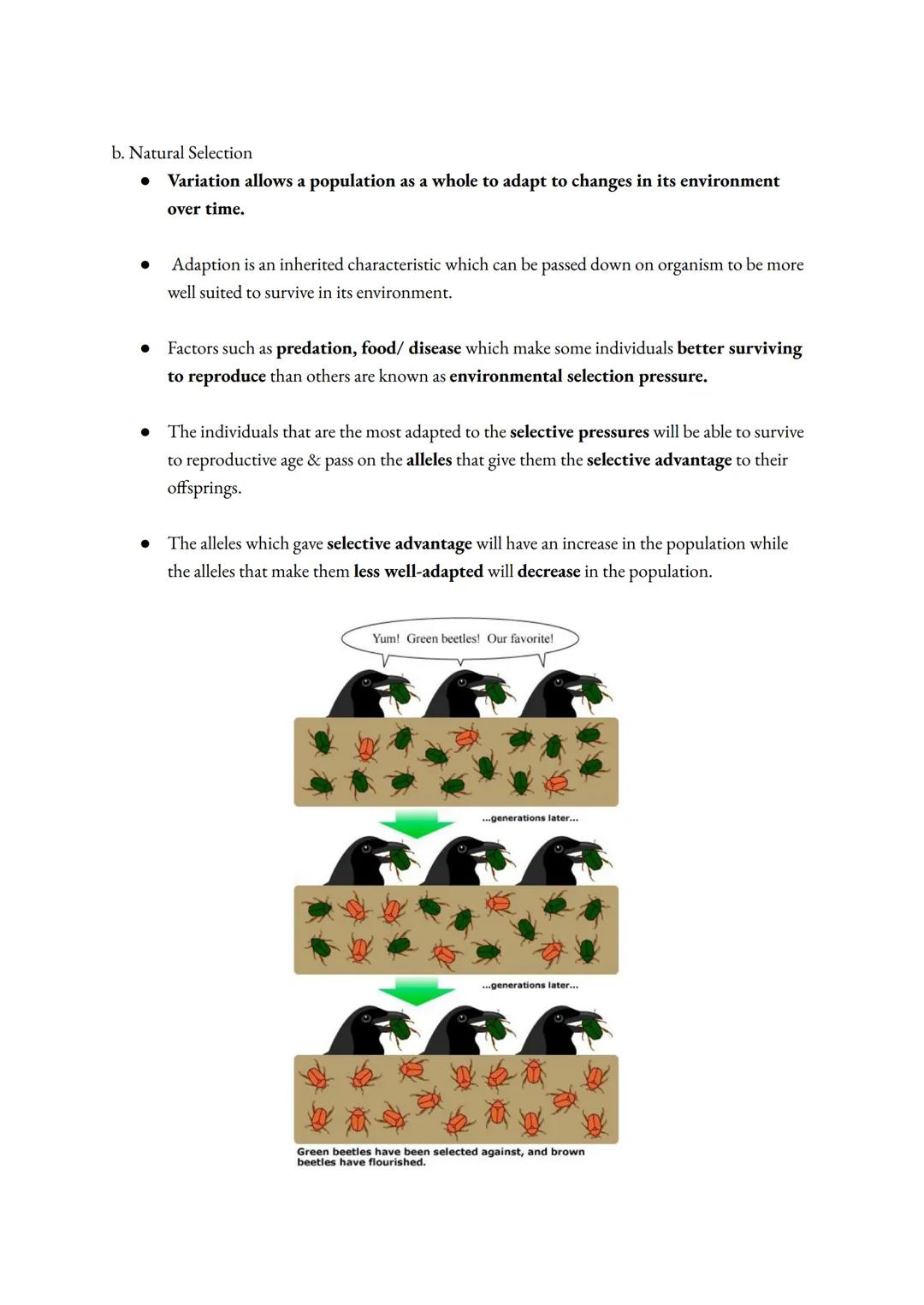 a. Ecological terms & definition (must learn !!!)
Term
Biodiversity
(Bio:diversity)
Producers
Consumers
Herbivores
(Herb:ivores)
Carnivores
