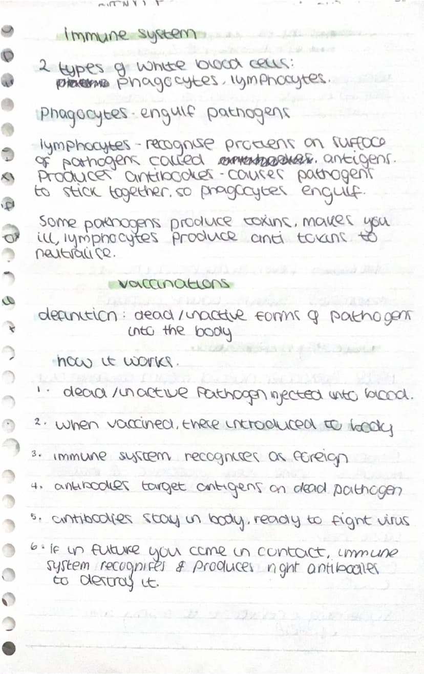 +1.
infection & response
Pathogens microorgnarums that enter
the body & cause diseases
↳ bacteria verus, protist & fungi
ways pathogens can 