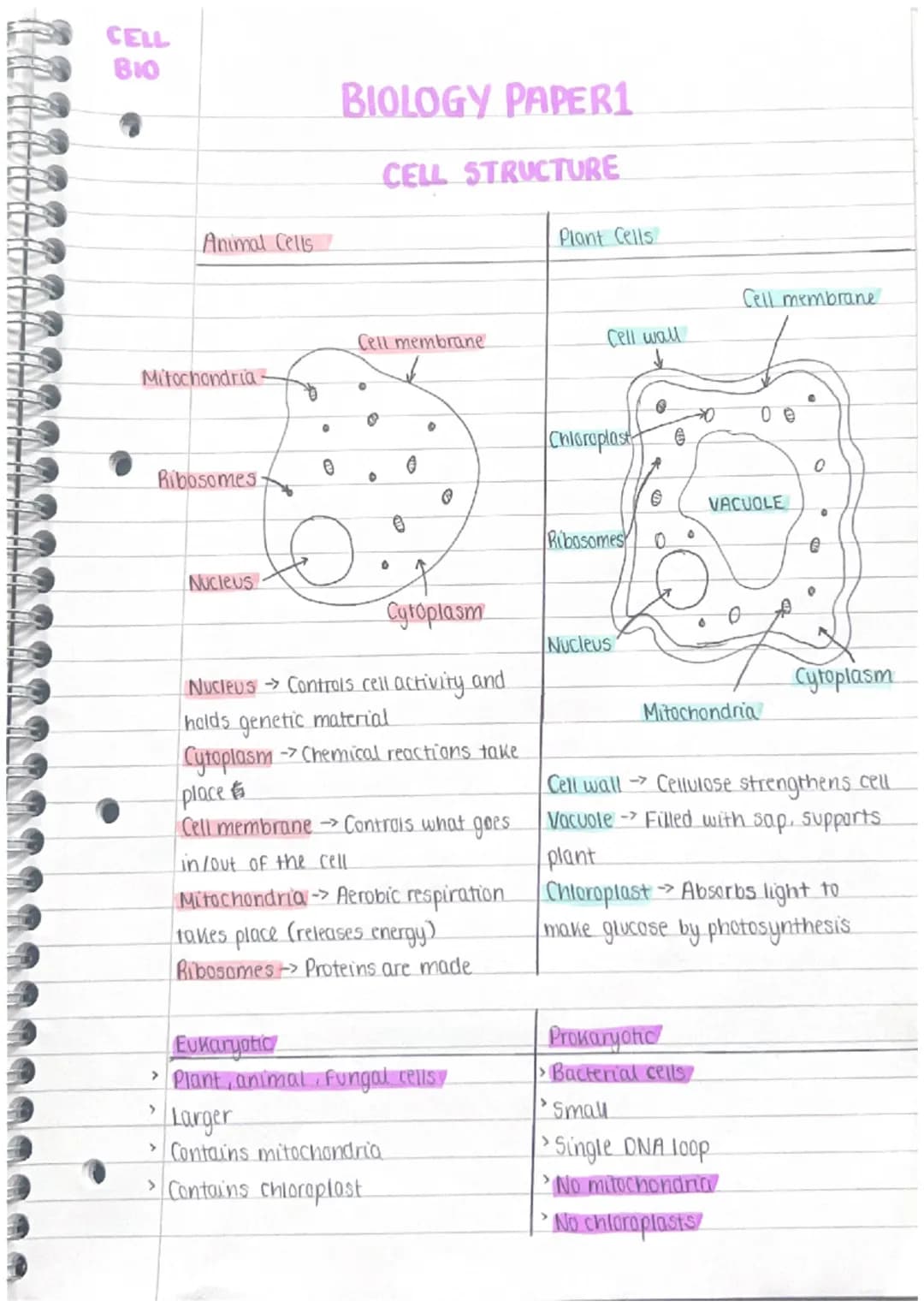 CELL
BIO
Animal Cells
Mitochondria
Ribosomes
Nucleus
0
BIOLOGY PAPER1
CELL STRUCTURE
Cell membrane
›
0
8
Cytoplasm
Nucleus → Controls cell a