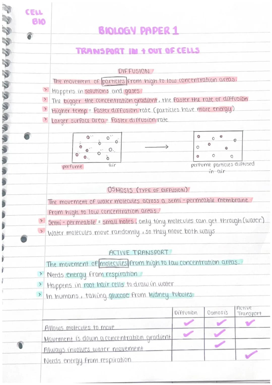 CELL
BIO
Animal Cells
Mitochondria
Ribosomes
Nucleus
0
BIOLOGY PAPER1
CELL STRUCTURE
Cell membrane
›
0
8
Cytoplasm
Nucleus → Controls cell a