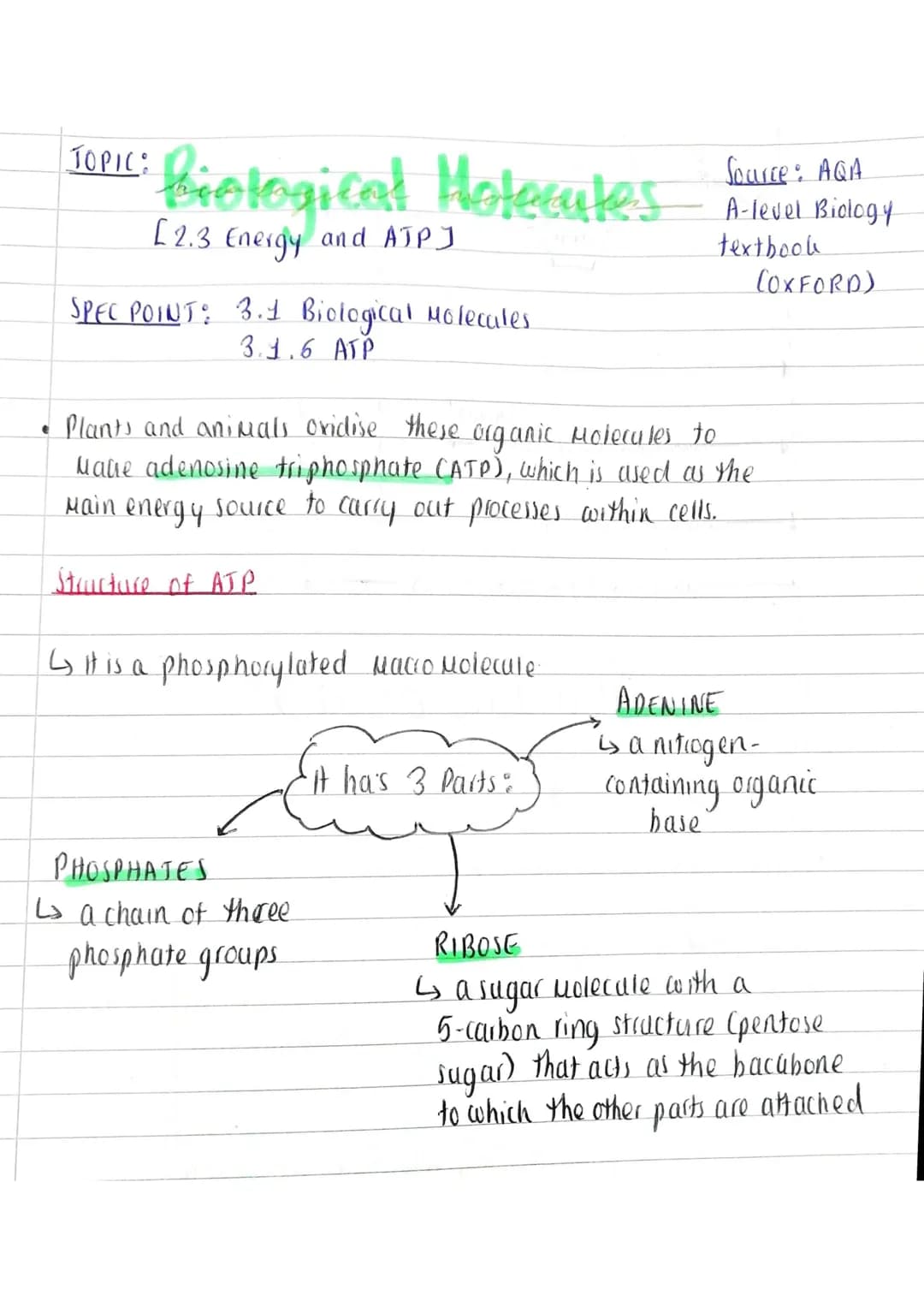 TOPIC: Biological Molecules
[2.3 Energy and AJPJ
SPEC POINT: 3.1 Biological Molecules.
3.1.6 ATP
• Plants and animals oxidise these organic 