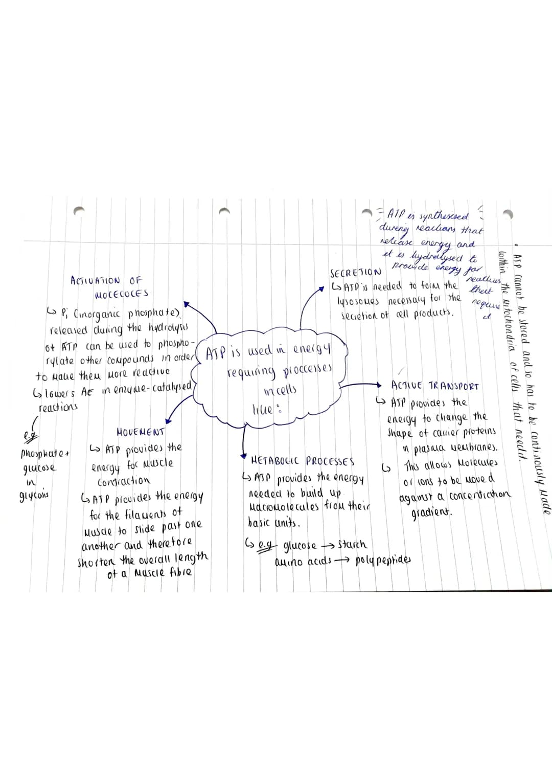TOPIC: Biological Molecules
[2.3 Energy and AJPJ
SPEC POINT: 3.1 Biological Molecules.
3.1.6 ATP
• Plants and animals oxidise these organic 