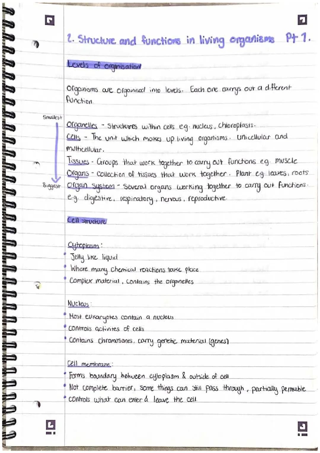 All About Biology: Levels of Organization and Food Tests