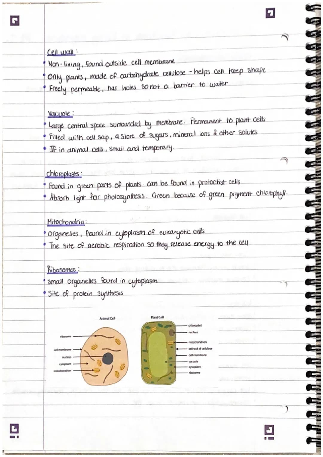 Smailest
7
2. Structure and functions in living organisms Pt 1.
Levels of organisation!
organisms are organised into levels. Each one carrys