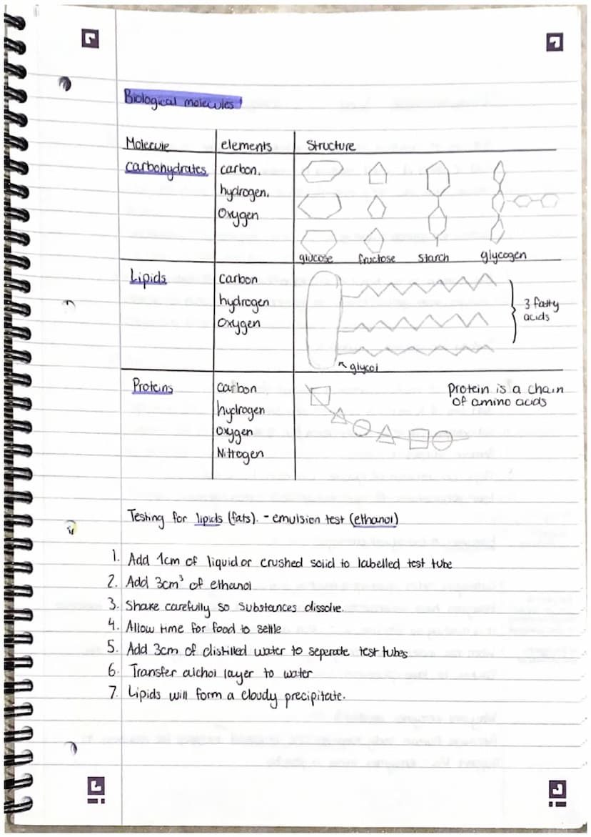 Smailest
7
2. Structure and functions in living organisms Pt 1.
Levels of organisation!
organisms are organised into levels. Each one carrys