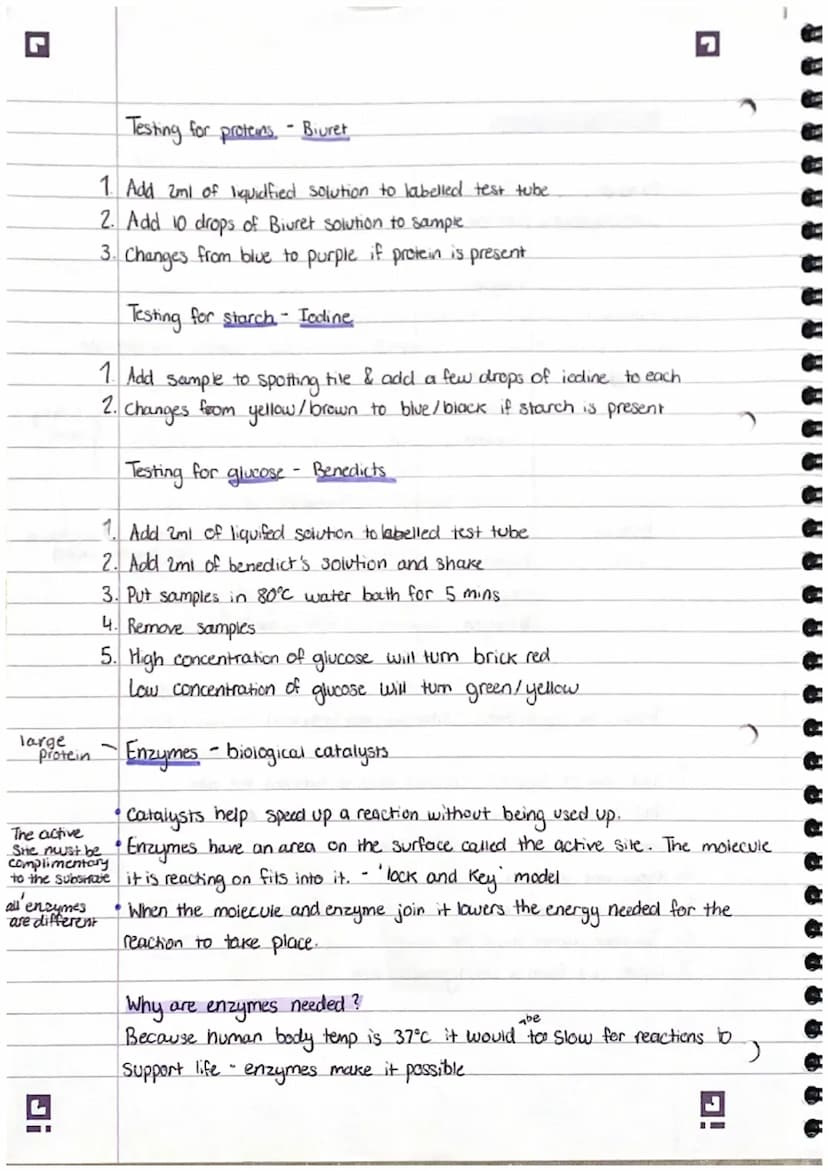 Smailest
7
2. Structure and functions in living organisms Pt 1.
Levels of organisation!
organisms are organised into levels. Each one carrys