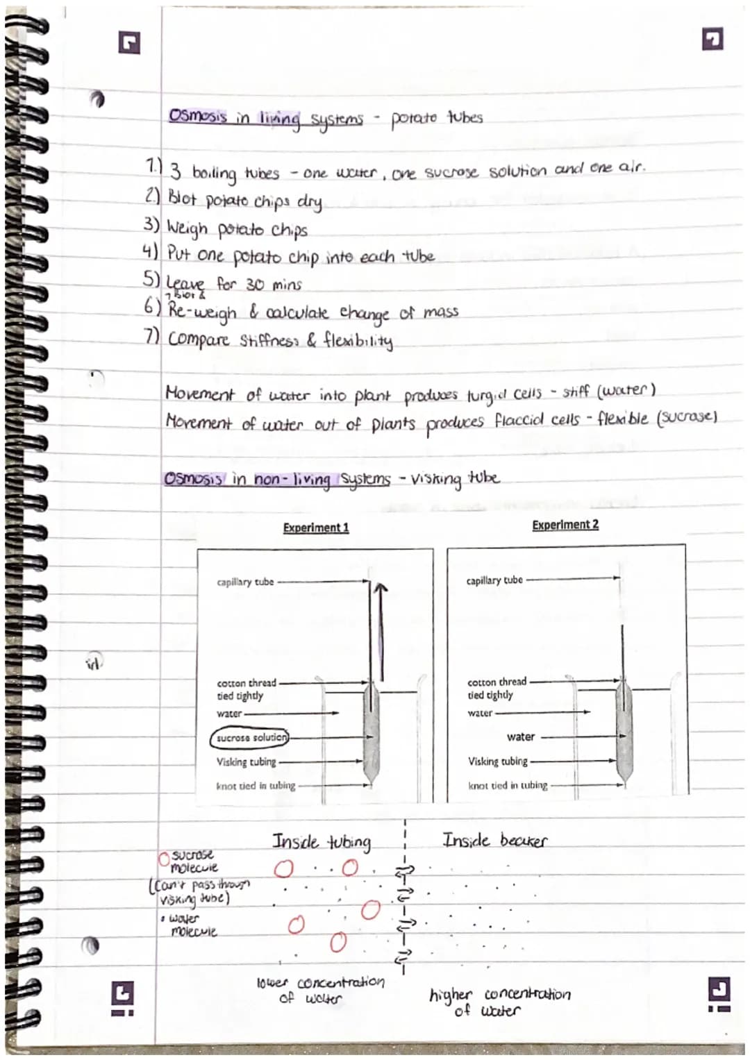 Smailest
7
2. Structure and functions in living organisms Pt 1.
Levels of organisation!
organisms are organised into levels. Each one carrys