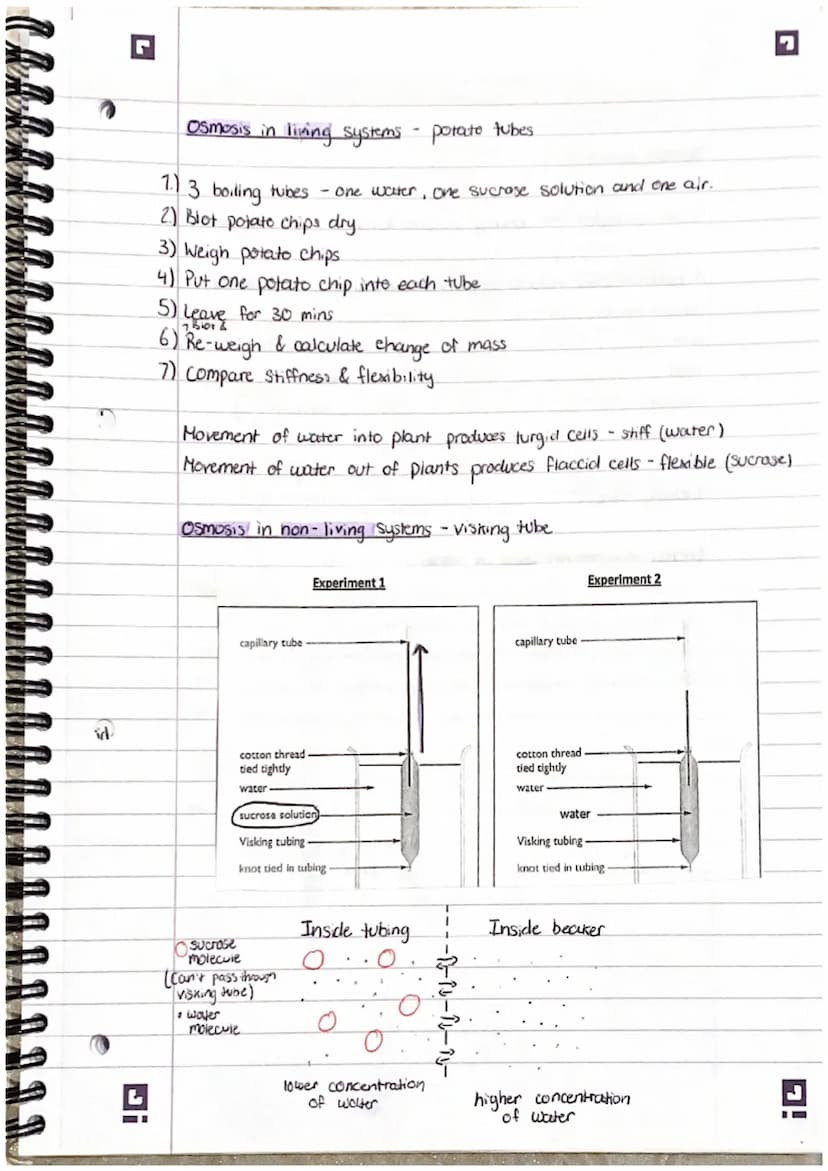 Smailest
7
2. Structure and functions in living organisms Pt 1.
Levels of organisation!
organisms are organised into levels. Each one carrys