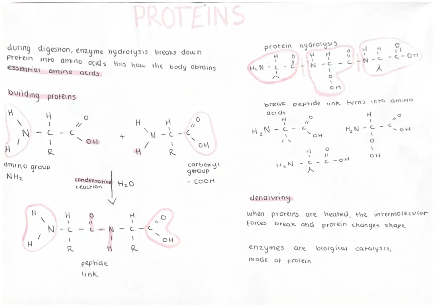 OH
CH3 CCH82 CH3
1
CH3
2-
H
methylbutan-2-01
tertiary (attached to branch) primary (at end)
properties of alcohols
alcohol can Interact with