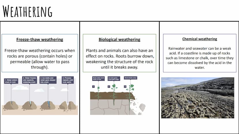 COASTAL PROCESSES
GCSE Geography AQA Contents Page:
Coastal Processes:
Types of Waves
Weathering
Mass Movement
Erosion
Transportation
Deposi