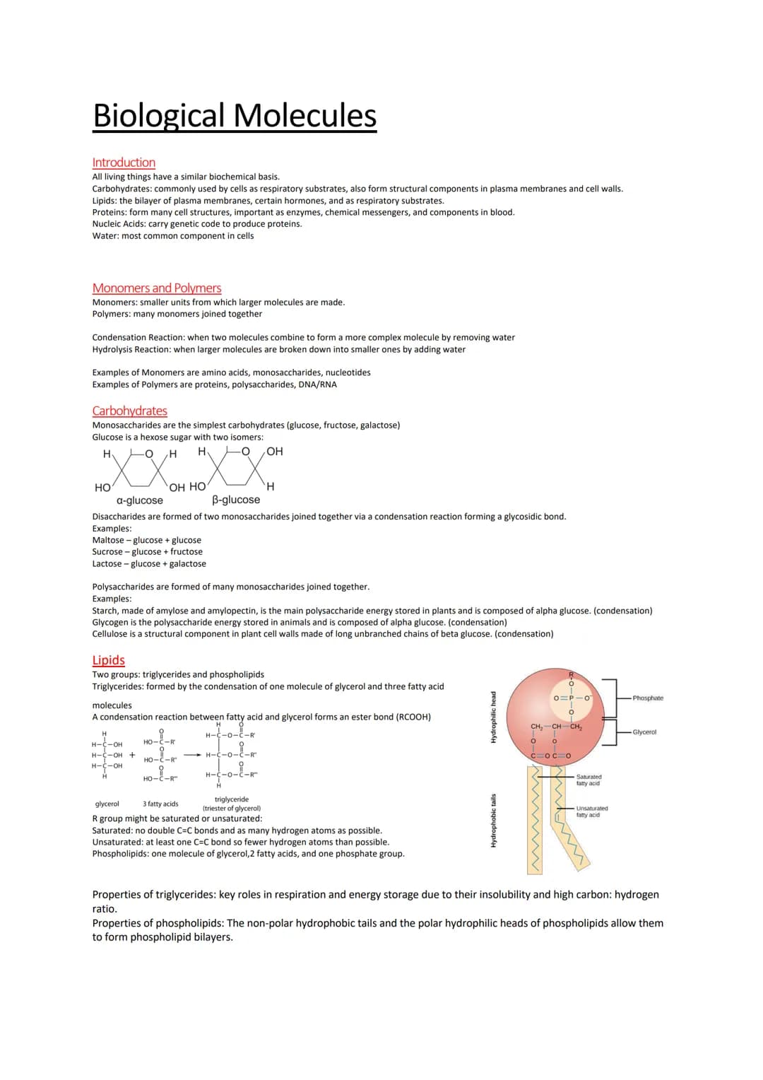 Biological Molecules
Introduction
All living things have a similar biochemical basis.
Carbohydrates: commonly used by cells as respiratory s