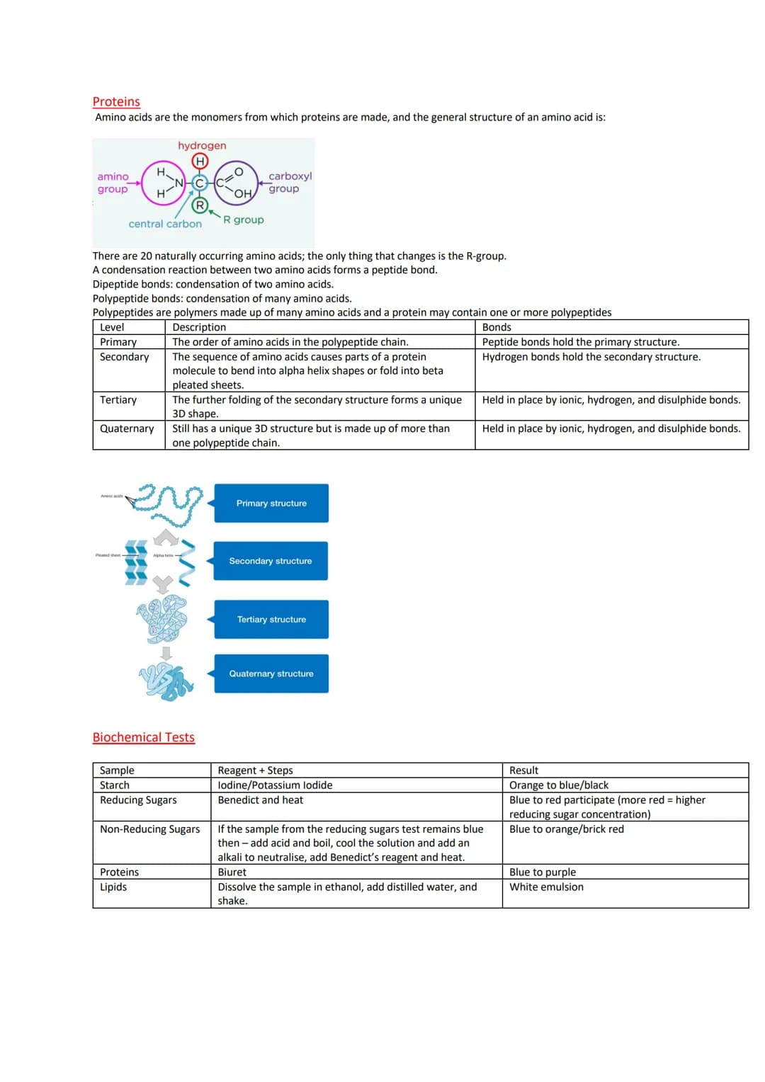 Biological Molecules
Introduction
All living things have a similar biochemical basis.
Carbohydrates: commonly used by cells as respiratory s