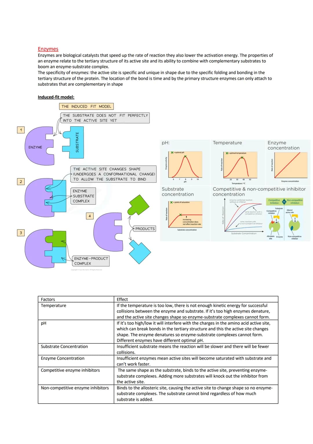 Biological Molecules
Introduction
All living things have a similar biochemical basis.
Carbohydrates: commonly used by cells as respiratory s
