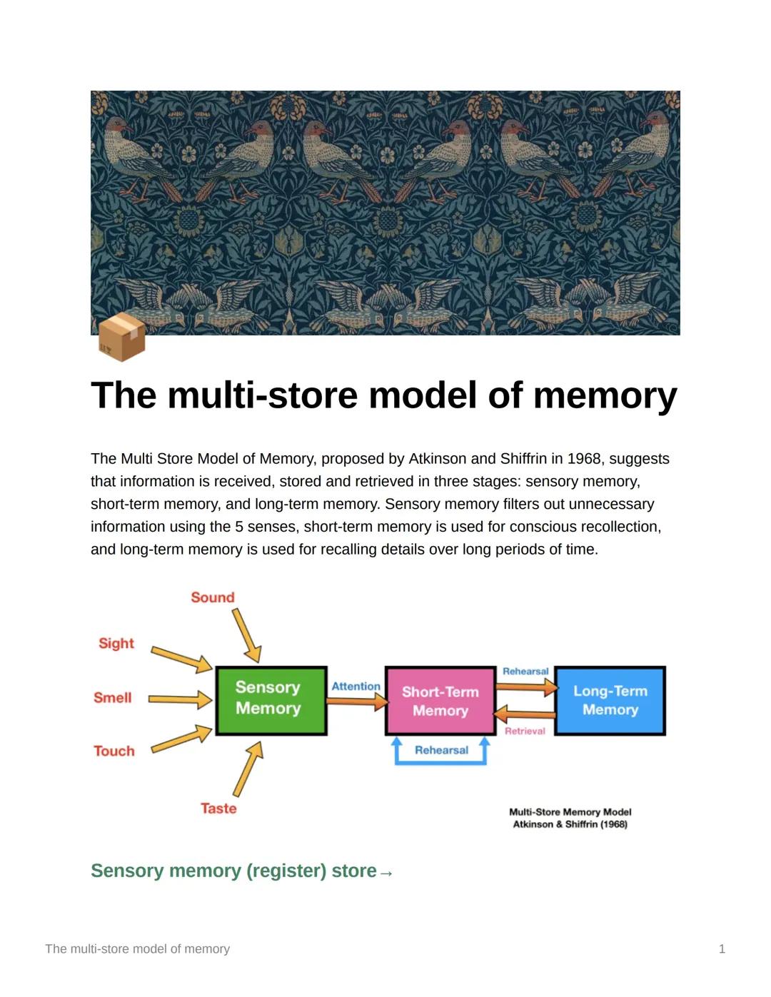 The multi-store model- memo