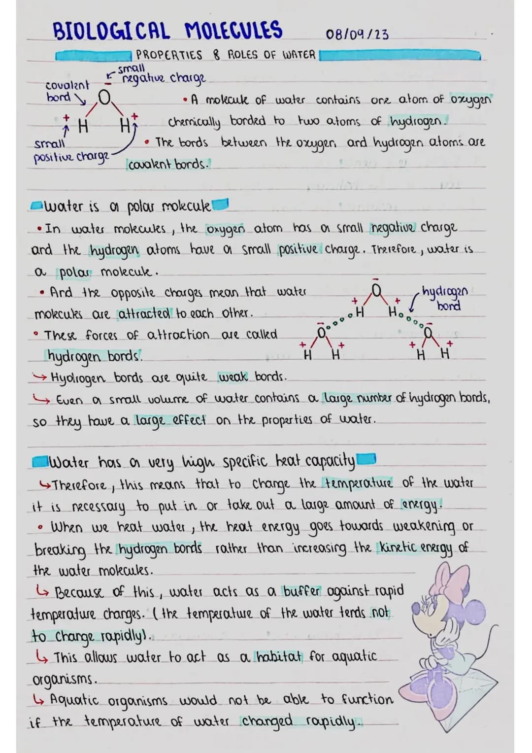 Properties and Roles of Water 
