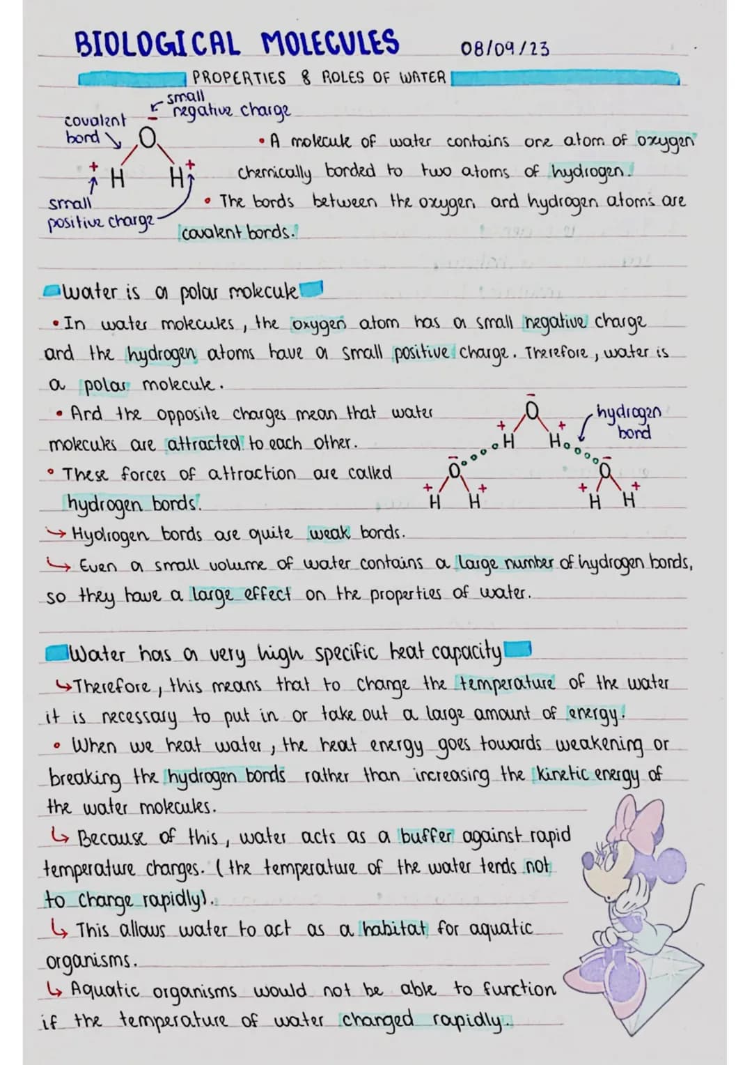 BIOLOGICAL MOLECULES
covalent
bond O
PROPERTIES 8 ROLES OF WATER
small
regative charge
O
08/09/23
• A molecule of water contains one atom of