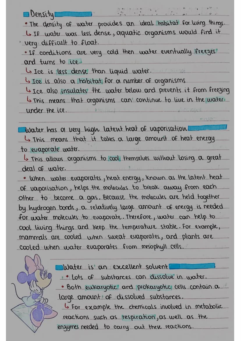 BIOLOGICAL MOLECULES
covalent
bond O
PROPERTIES 8 ROLES OF WATER
small
regative charge
O
08/09/23
• A molecule of water contains one atom of