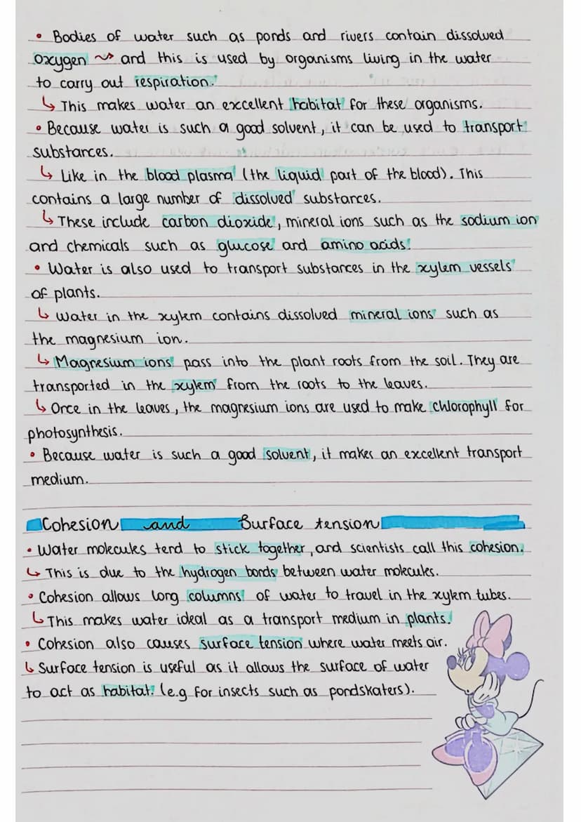 BIOLOGICAL MOLECULES
covalent
bond O
PROPERTIES 8 ROLES OF WATER
small
regative charge
O
08/09/23
• A molecule of water contains one atom of