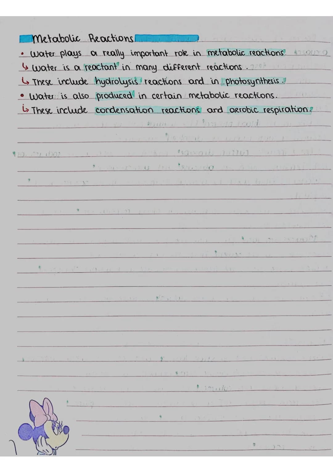 BIOLOGICAL MOLECULES
covalent
bond O
PROPERTIES 8 ROLES OF WATER
small
regative charge
O
08/09/23
• A molecule of water contains one atom of