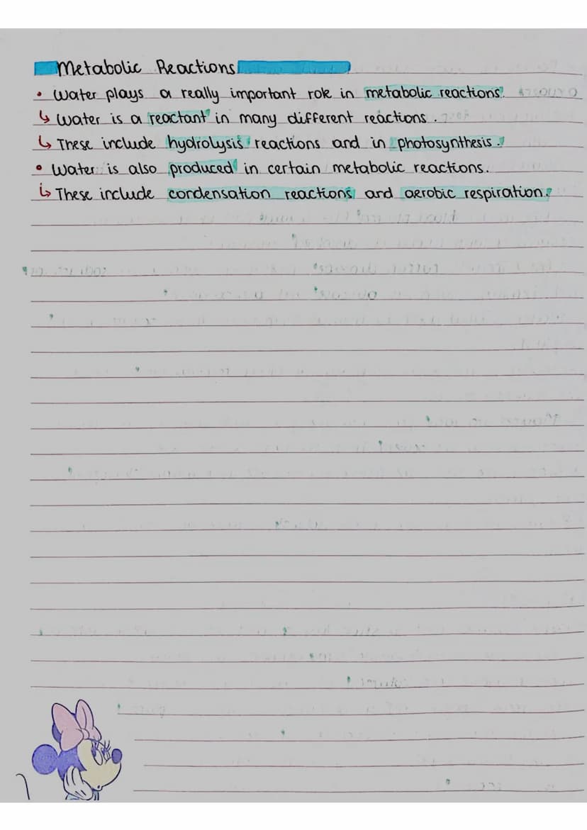 BIOLOGICAL MOLECULES
covalent
bond O
PROPERTIES 8 ROLES OF WATER
small
regative charge
O
08/09/23
• A molecule of water contains one atom of