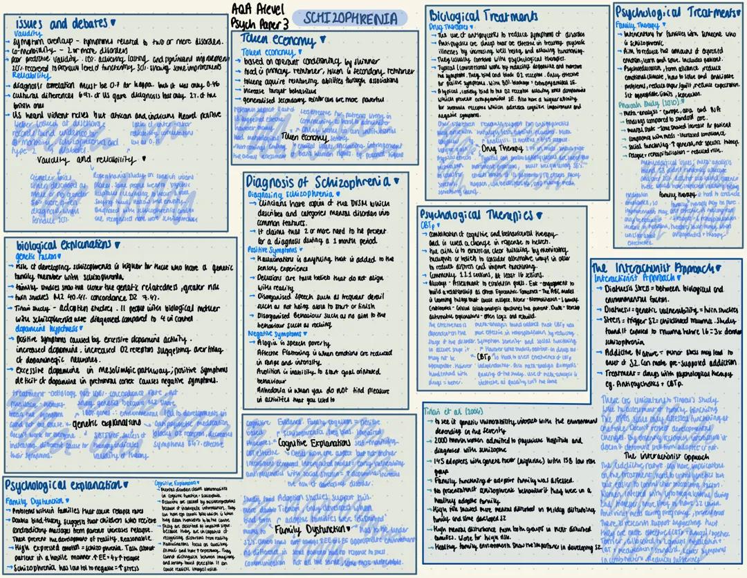 Alevel Psychology Paper 3 Schizophrenia 