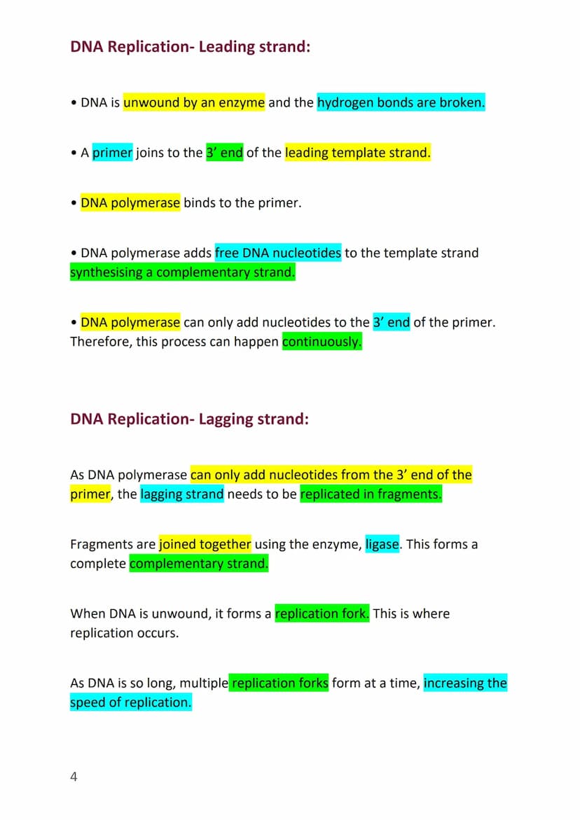 
<h2 id="thestructureofdna">The Structure of DNA</h2>
<p>In this section, we will discuss the structure of DNA and its basic units. DNA, whi