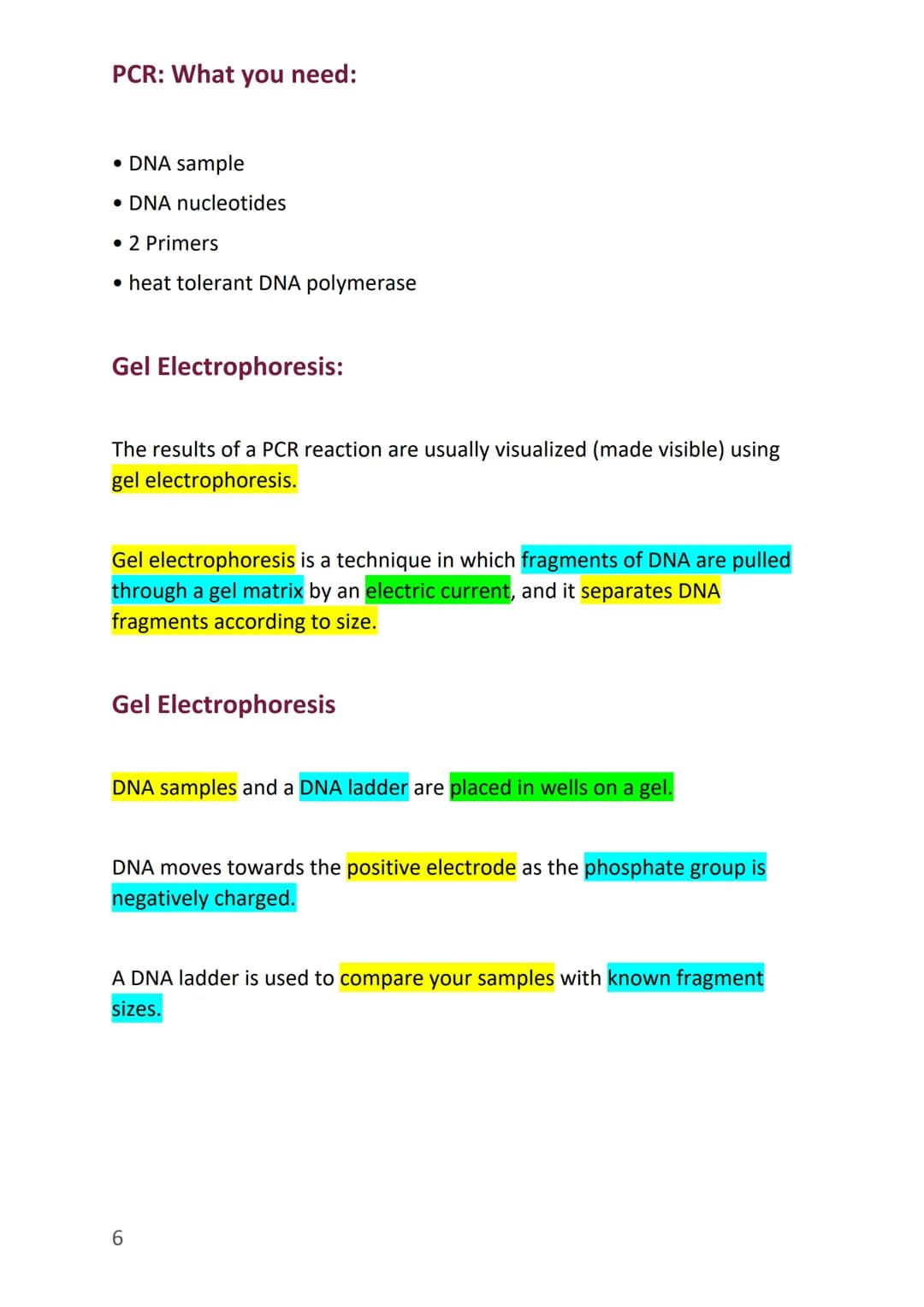 
<h2 id="thestructureofdna">The Structure of DNA</h2>
<p>In this section, we will discuss the structure of DNA and its basic units. DNA, whi