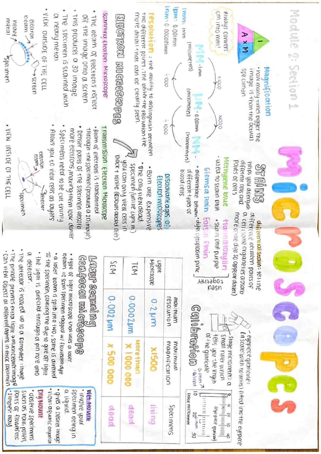Module 2: Section 1
PARTS OF A CELL
SER
RER
• synthesises and
• folds and processes processes lipids
proteins that have
been made at ribosom
