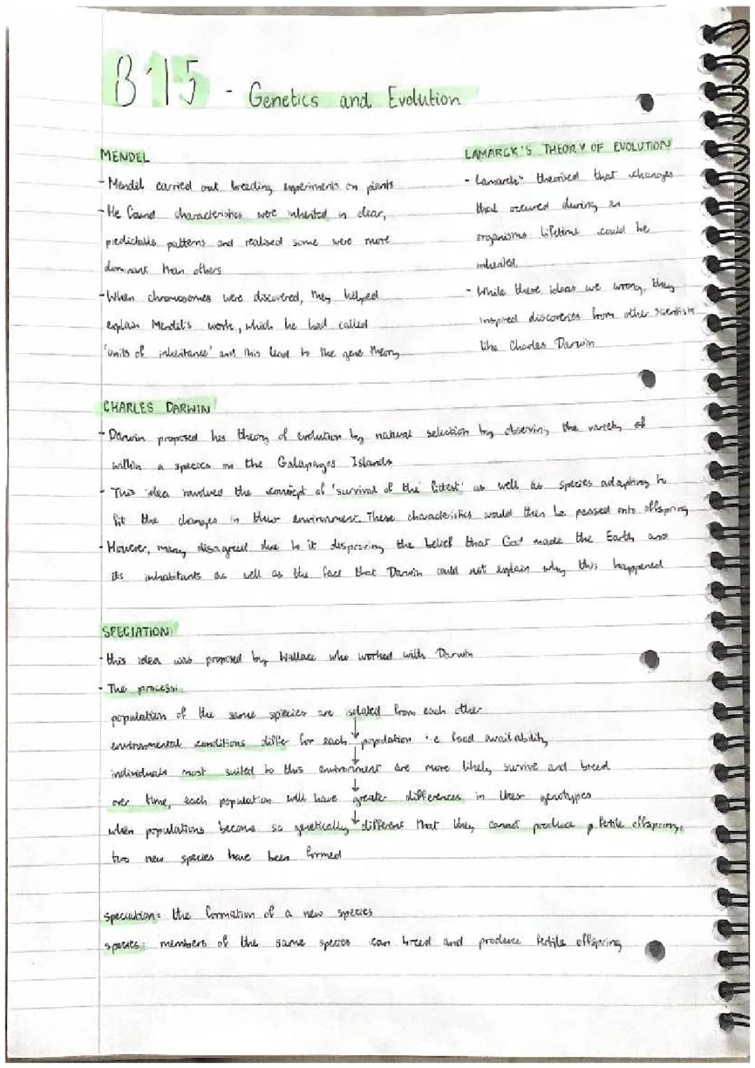 Free AQA GCSE Triple Higher B15 Study Guide PDF - Condensed Notes and Answers