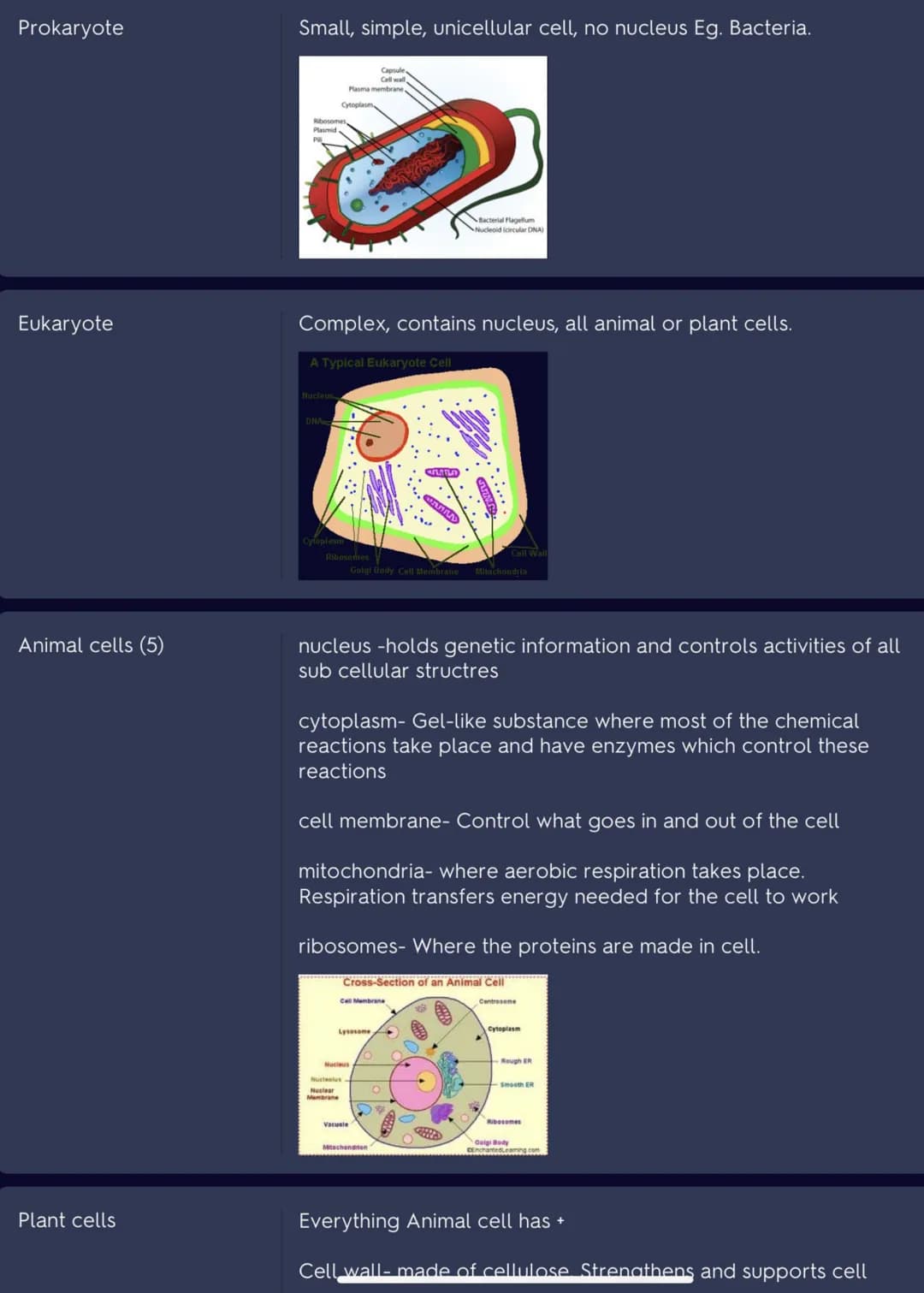 Prokaryote
Eukaryote
Animal cells (5)
Plant cells
Small, simple, unicellular cell, no nucleus Eg. Bacteria.
Capsule
Cell wall
Plasma membran