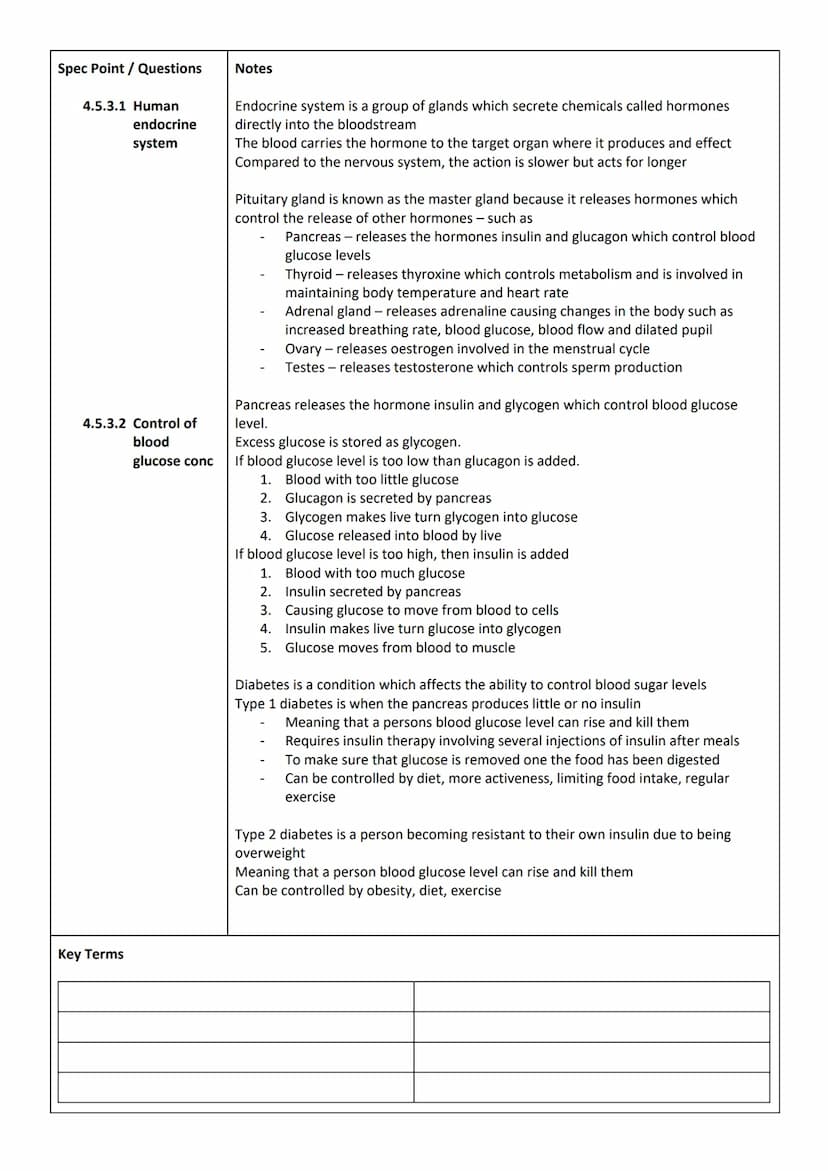 Video Title:
Spec Point / Questions
4.5.1 Homeostasis
4.5.2.1 Structure &
Function
Key Terms
Homeostasis
Negative feedback
Reflex action
Sti