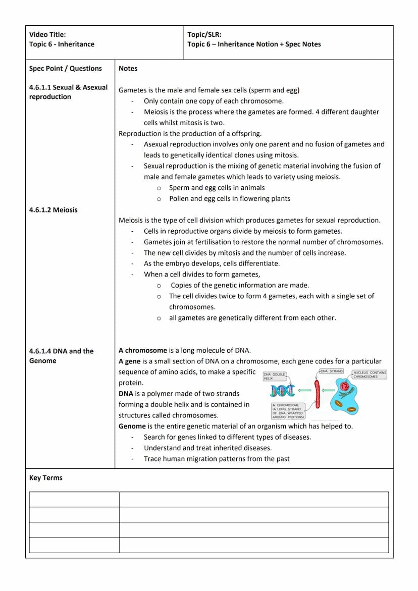 Video Title:
Spec Point / Questions
4.5.1 Homeostasis
4.5.2.1 Structure &
Function
Key Terms
Homeostasis
Negative feedback
Reflex action
Sti