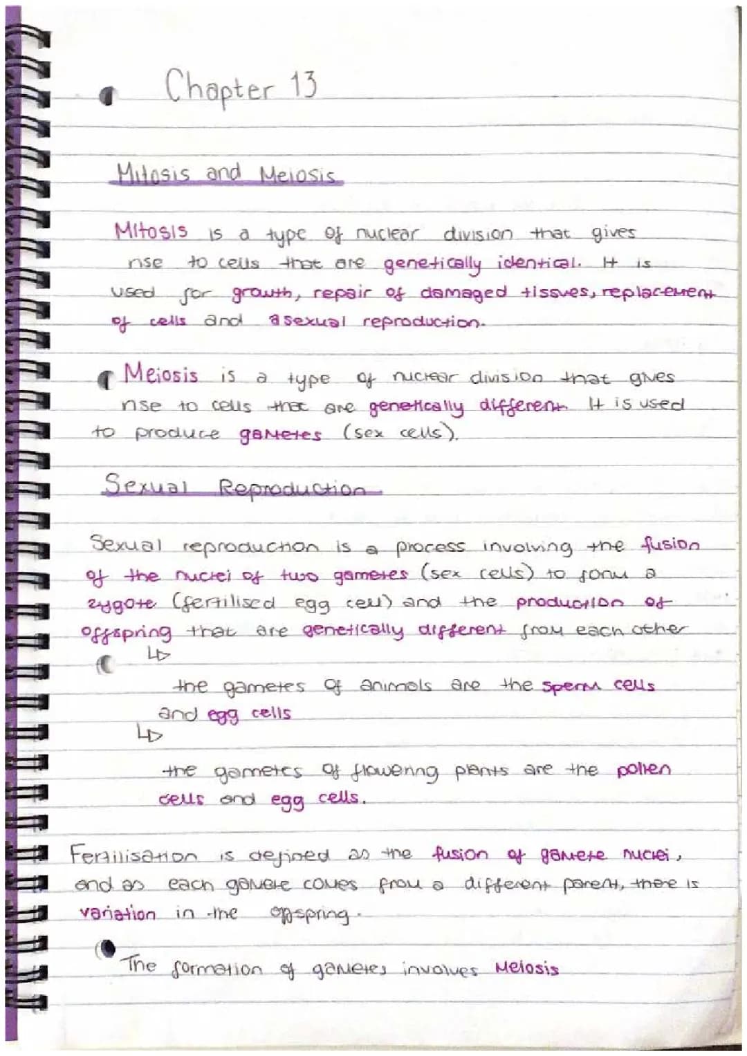 Understanding Meiosis: Why It's Super Important for Sexual Reproduction