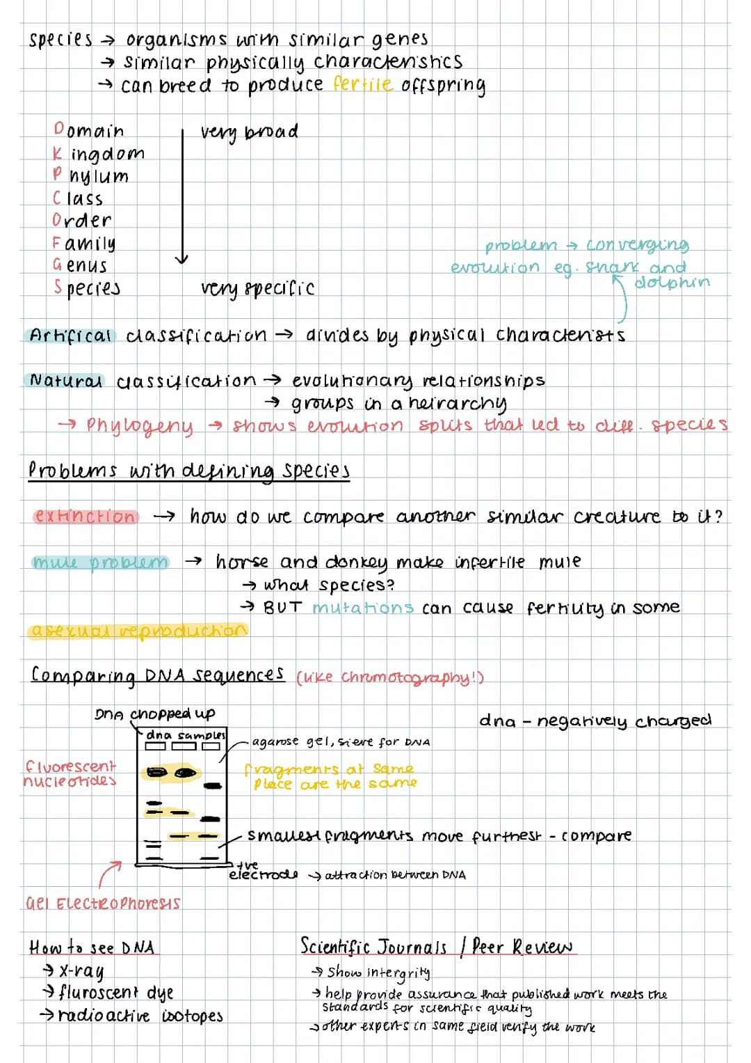 Classification biology