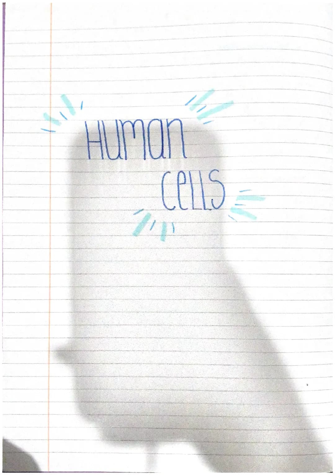 unit one notes - higher human biology