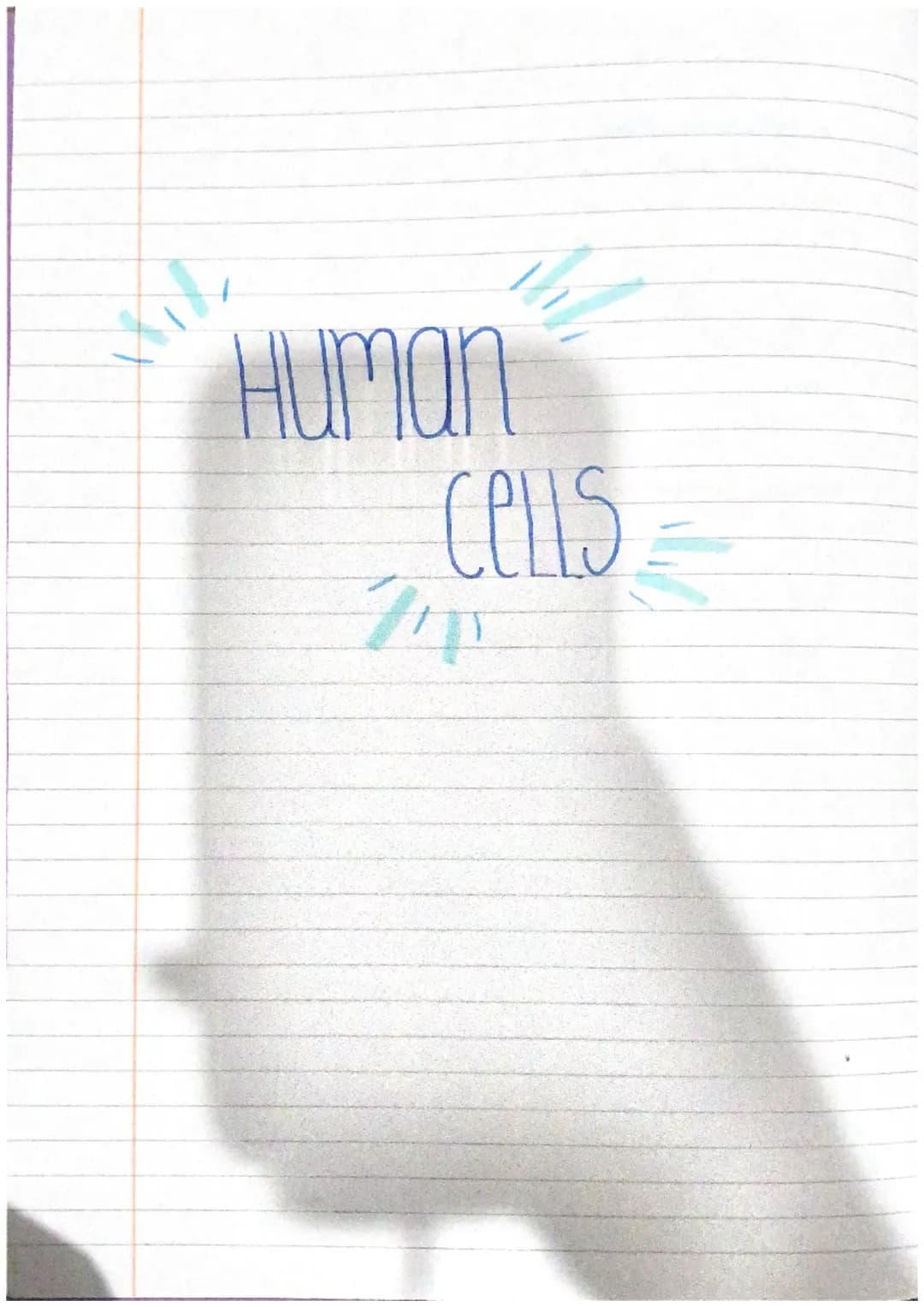 iHuman
cells clivision and differentiation of human cells
Somatic cells and Germline cells.
somatic cells any cell within the body other tha