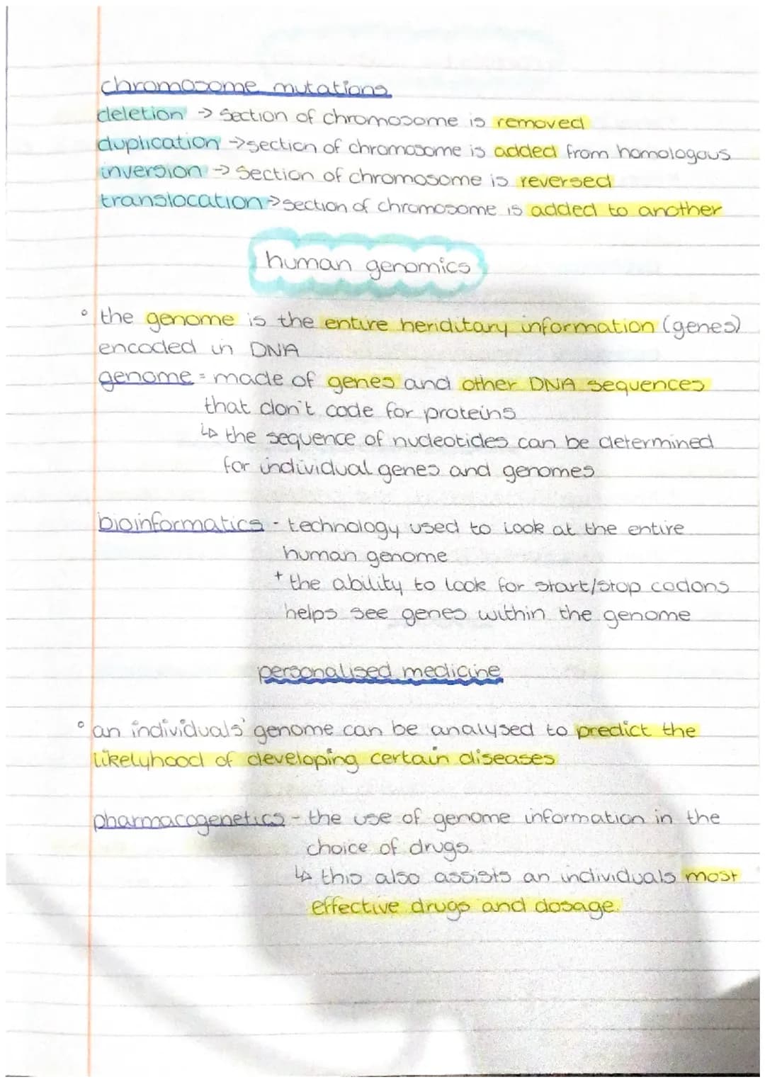 iHuman
cells clivision and differentiation of human cells
Somatic cells and Germline cells.
somatic cells any cell within the body other tha