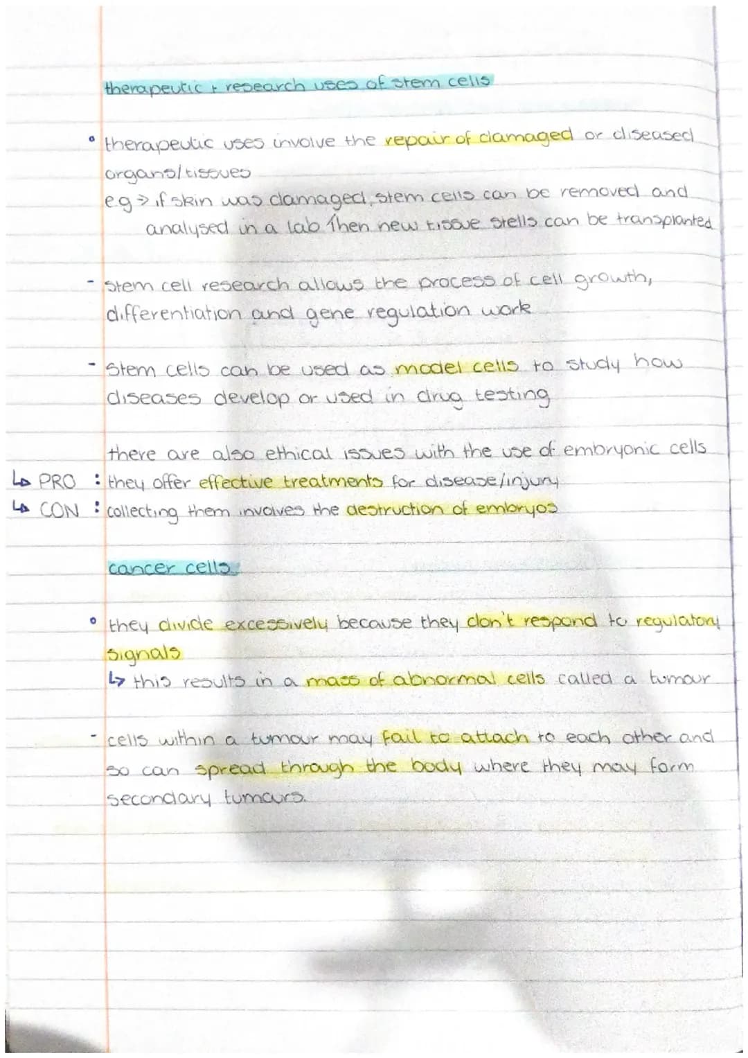 iHuman
cells clivision and differentiation of human cells
Somatic cells and Germline cells.
somatic cells any cell within the body other tha