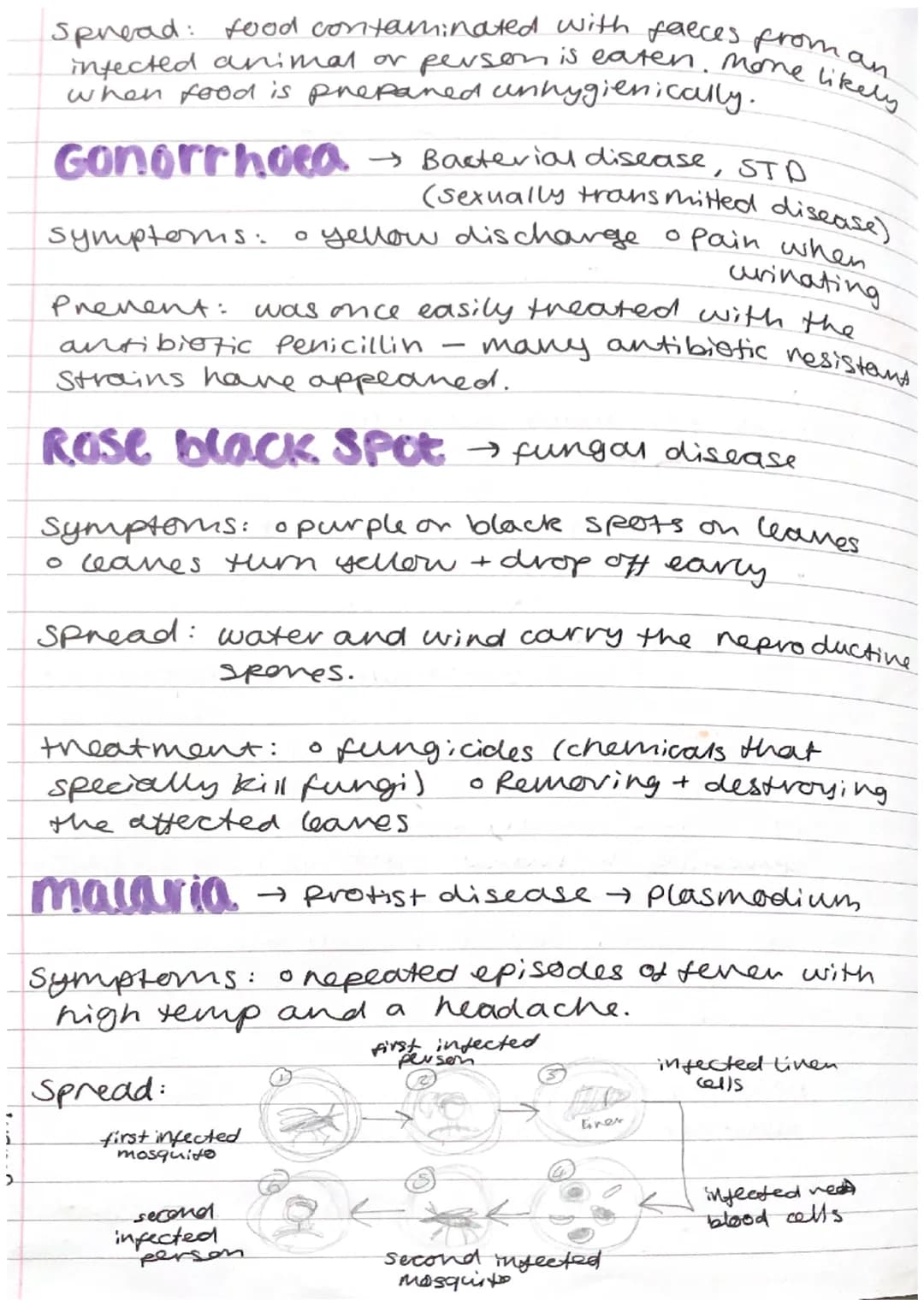 Biology
combined
science
Infection Response
pathogen
viruses
O
GCSE
AQA
+ microorganisms that cause disease
• bacteria oprotists
• fungi.
co