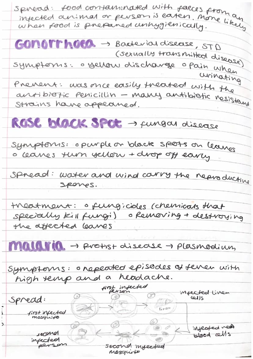 Biology
combined
science
Infection Response
pathogen
viruses
O
GCSE
AQA
+ microorganisms that cause disease
• bacteria oprotists
• fungi.
co