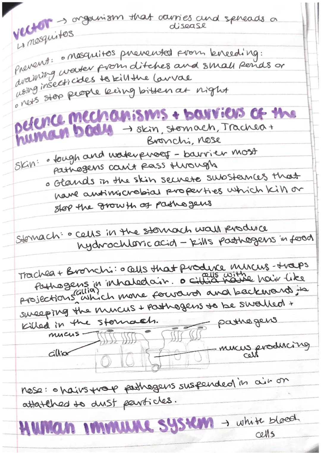 Biology
combined
science
Infection Response
pathogen
viruses
O
GCSE
AQA
+ microorganisms that cause disease
• bacteria oprotists
• fungi.
co