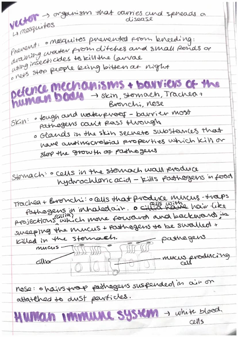 Biology
combined
science
Infection Response
pathogen
viruses
O
GCSE
AQA
+ microorganisms that cause disease
• bacteria oprotists
• fungi.
co