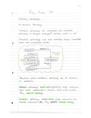 Know Higher human biology - 1.6 (metabolic pathways) thumbnail