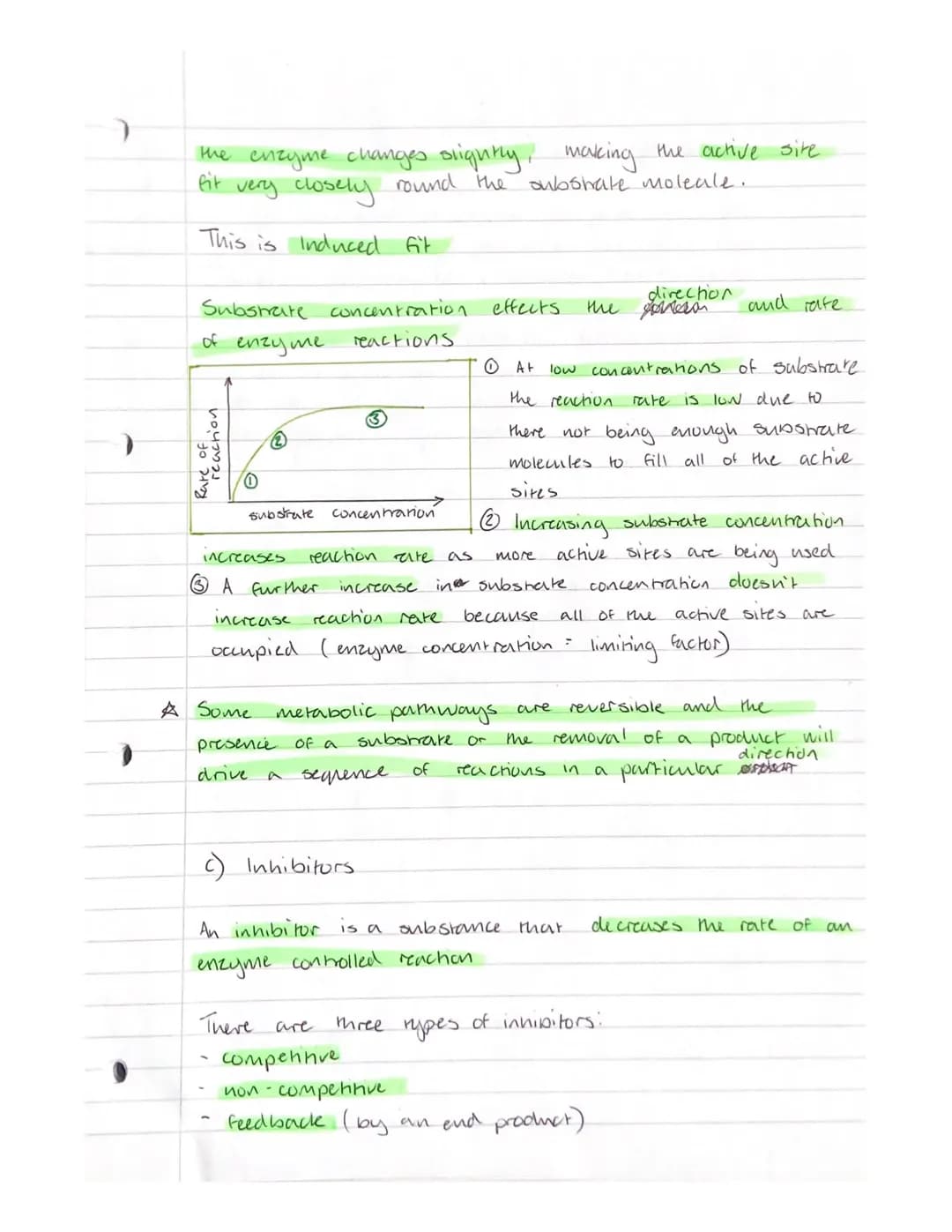 1
7
Key Area 1.6
Metabolic Pathways
(a) Metabolic Pathways.
Metabolic pathways are integrated and controlled
pathways of enzyme- catalysed r