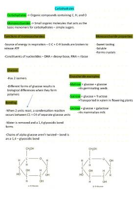 Know Carbohydrates thumbnail