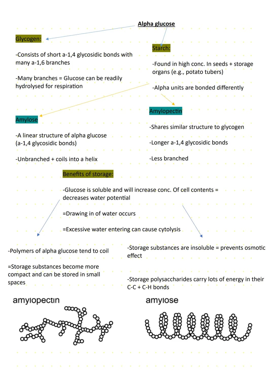 Carbohydrates
Carbohydrates -> Organic compounds containing C, H, and O
Monosaccharides -> Small organic molecules that acts as the
basic mo