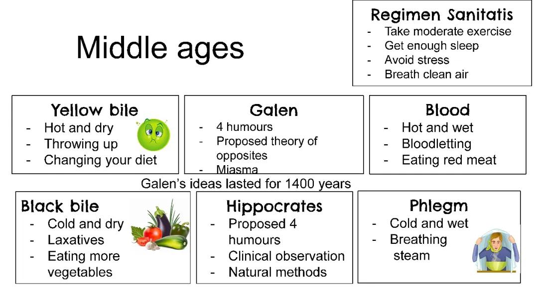 Medicine through time info